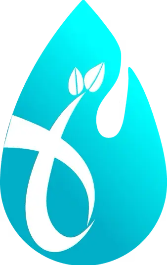 Logo of Longitude Health featuring a stylized droplet with leaves, symbolizing health and wellness through IV therapy.
