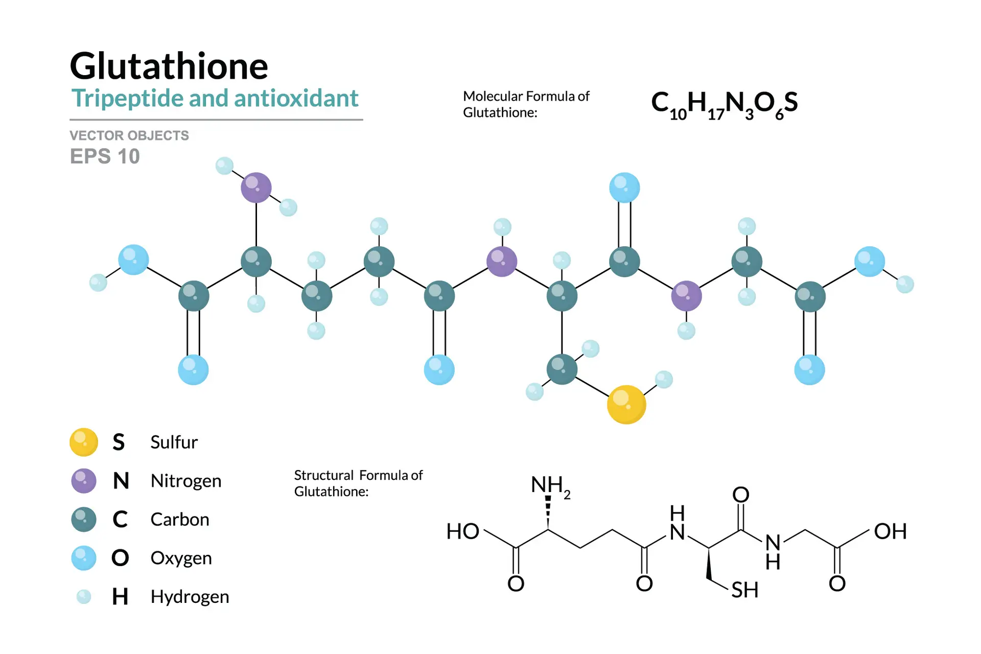 Glutathione molecular structure illustration highlighting its role as a tripeptide antioxidant, featuring labeled atoms: sulfur, nitrogen, carbon, oxygen, and hydrogen, relevant to health and wellness discussions.