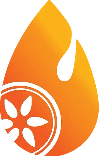 Flame icon with orange gradient and a circular design featuring a flower pattern, symbolizing energy and vitality, relevant to IV therapy and wellness treatments.