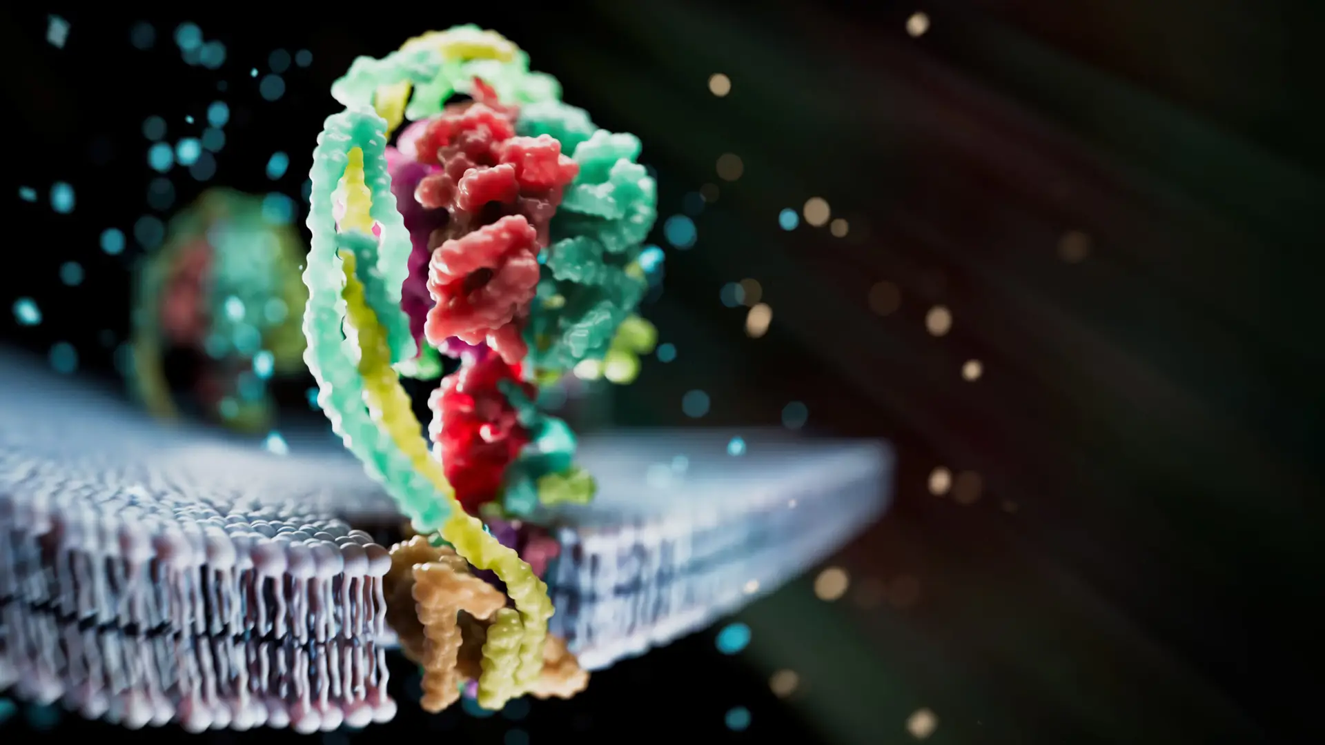 Read more about the article EMF’s Part II: Your Metabolism